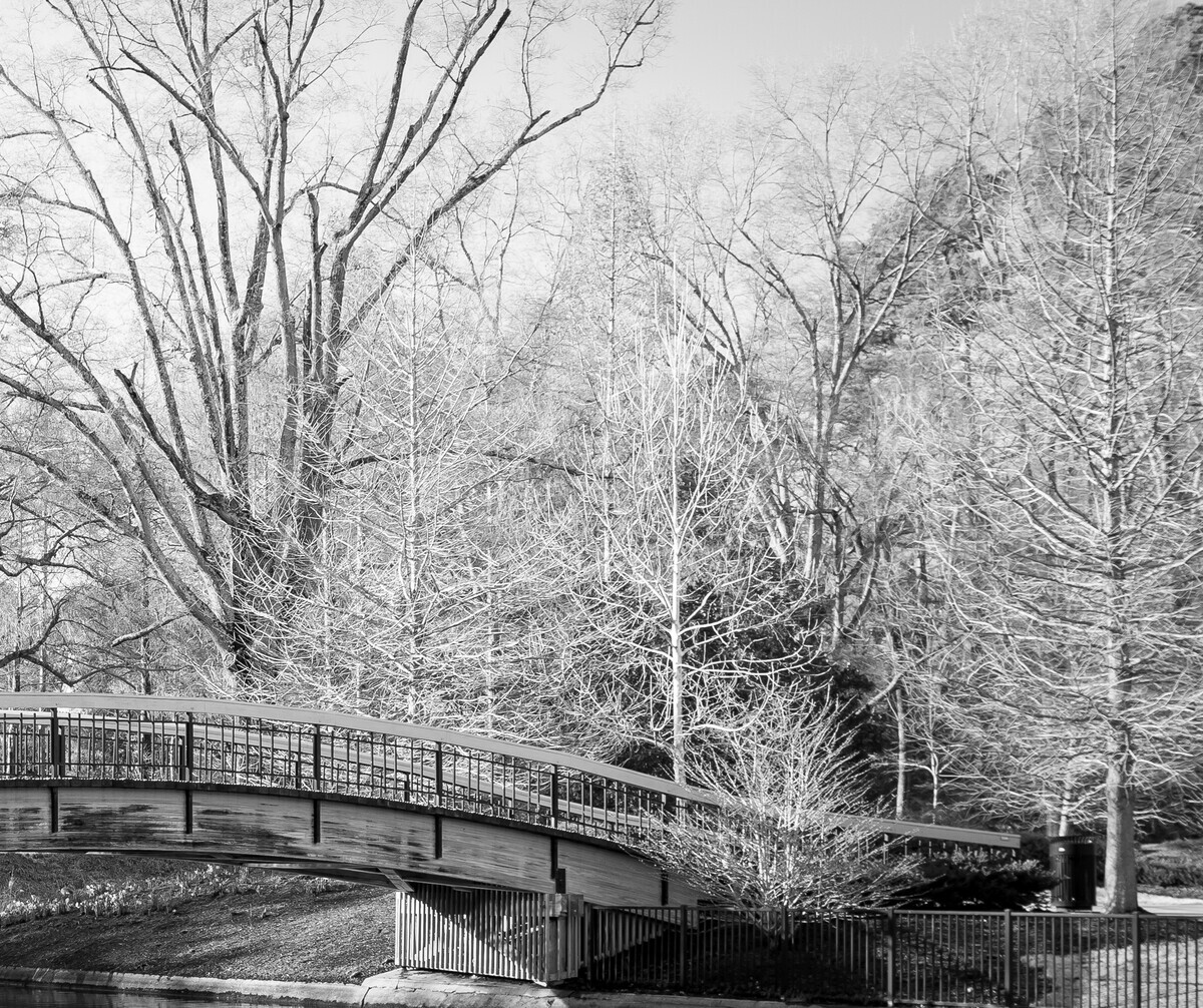 Pullen Park Bridge