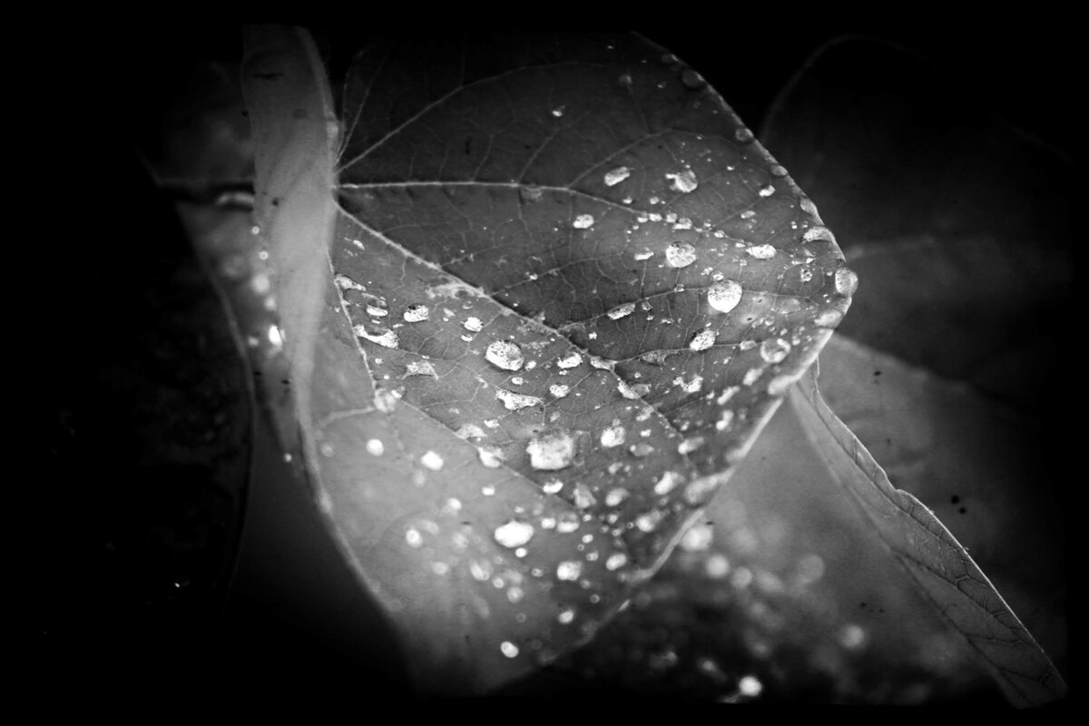 Let the Rain Wash Away All the Pain