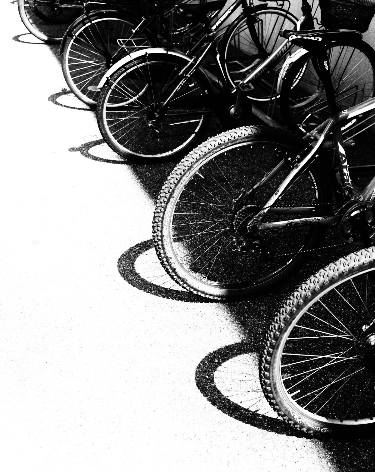 Row of Bicycles