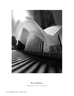 the oculus architecture photography