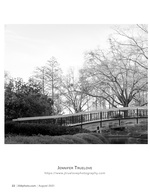 bridge over the water landscape photography