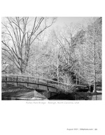 pullen park bridge landscape photography