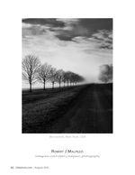 foggy country road landscape photography