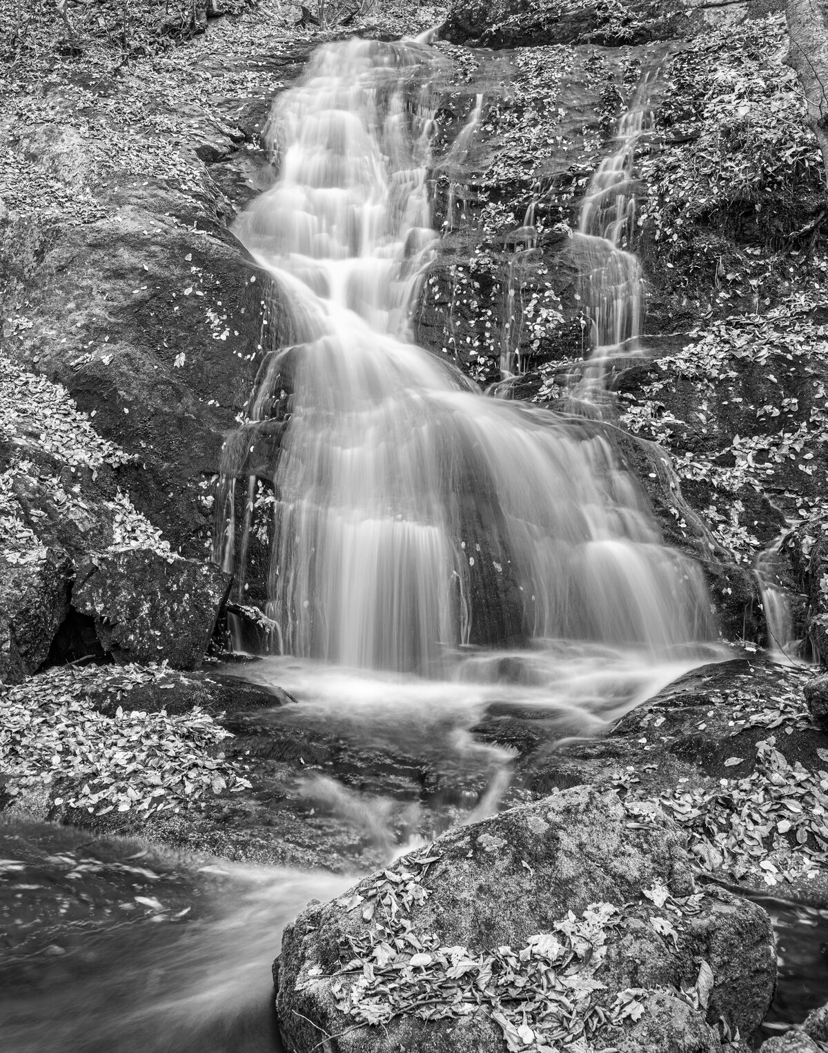 Cascading Falls