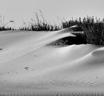 Windswept Dune Ridge