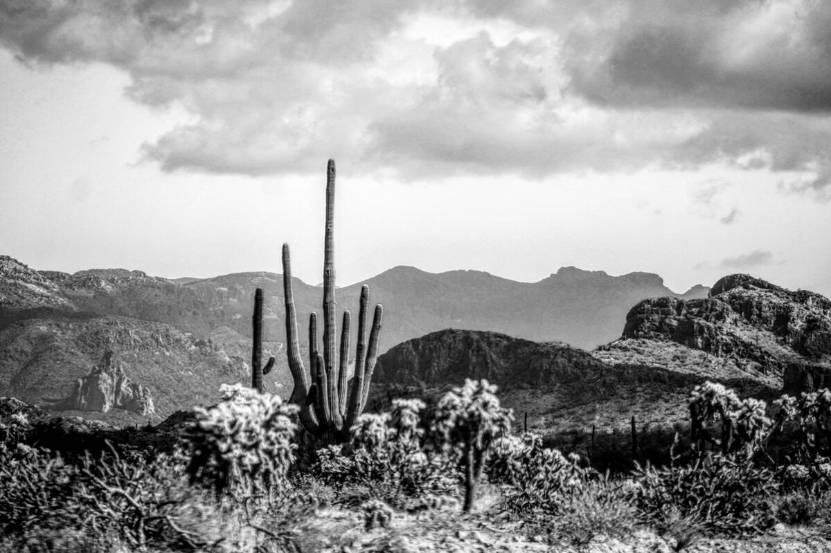 Tonto National Forest