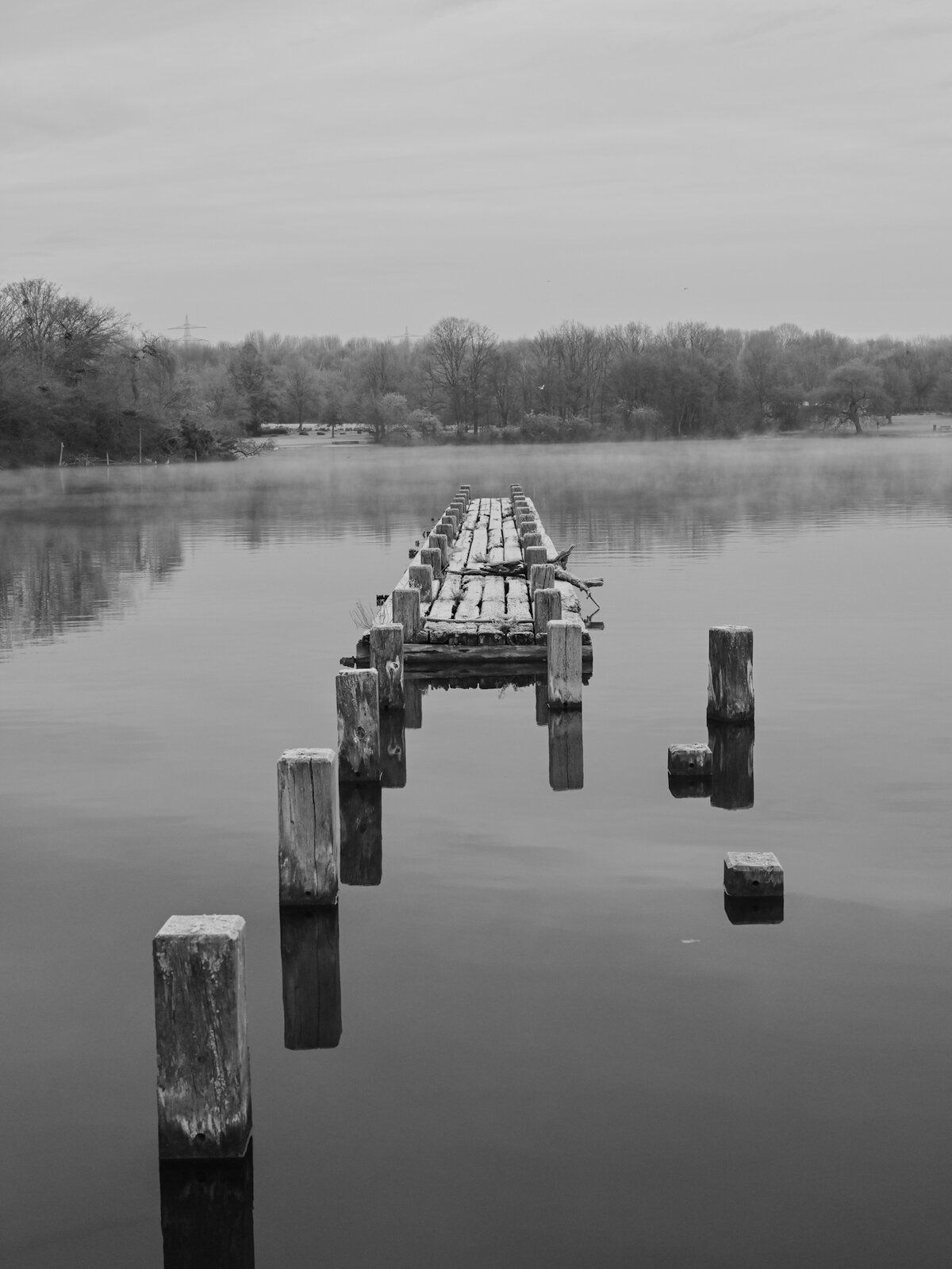 Remnants of the Dock