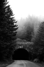 Stone Tunnel in the Mist