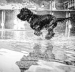Making a Splash