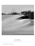 windswept dune ridge landscape photography