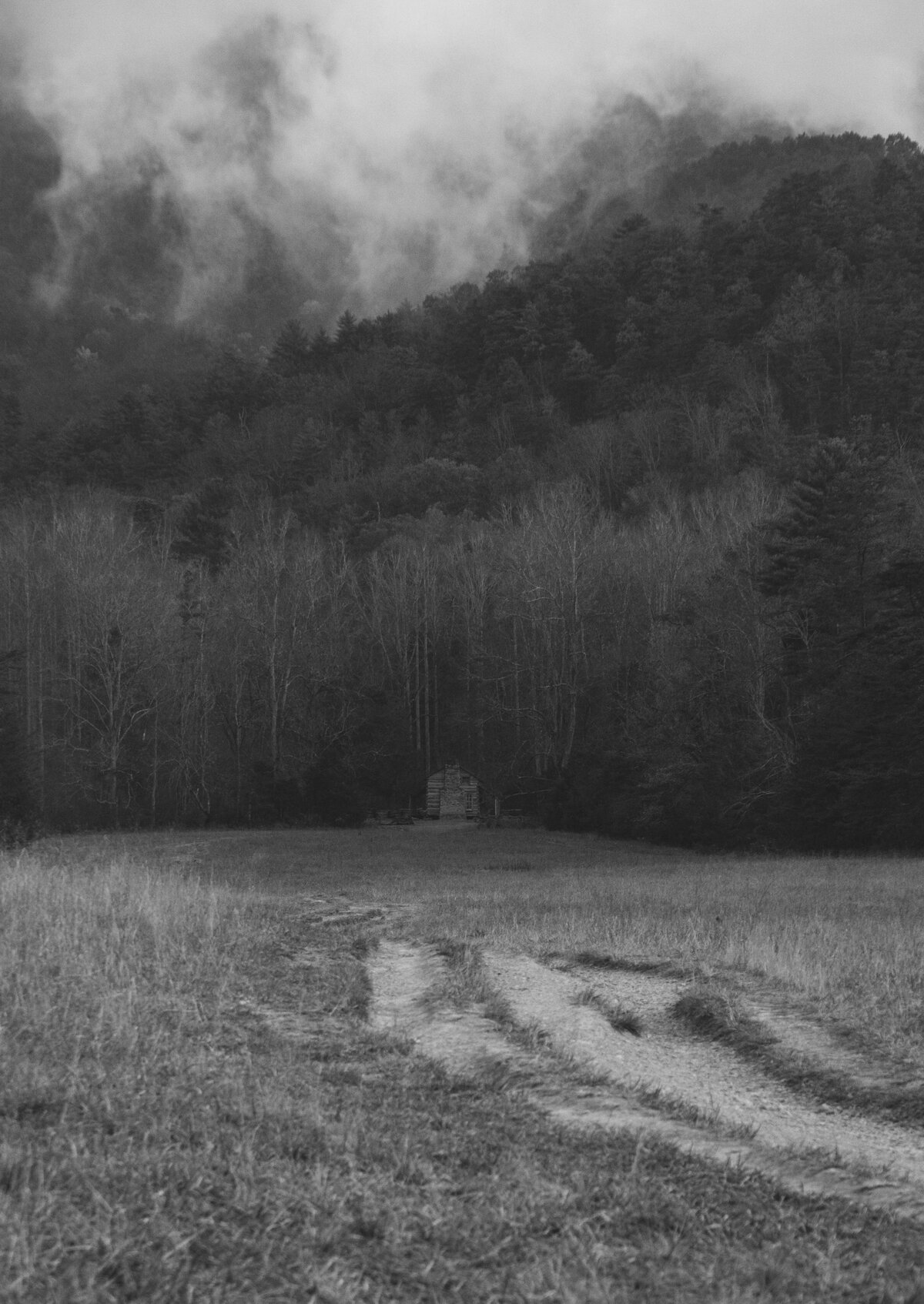 Cades Cove