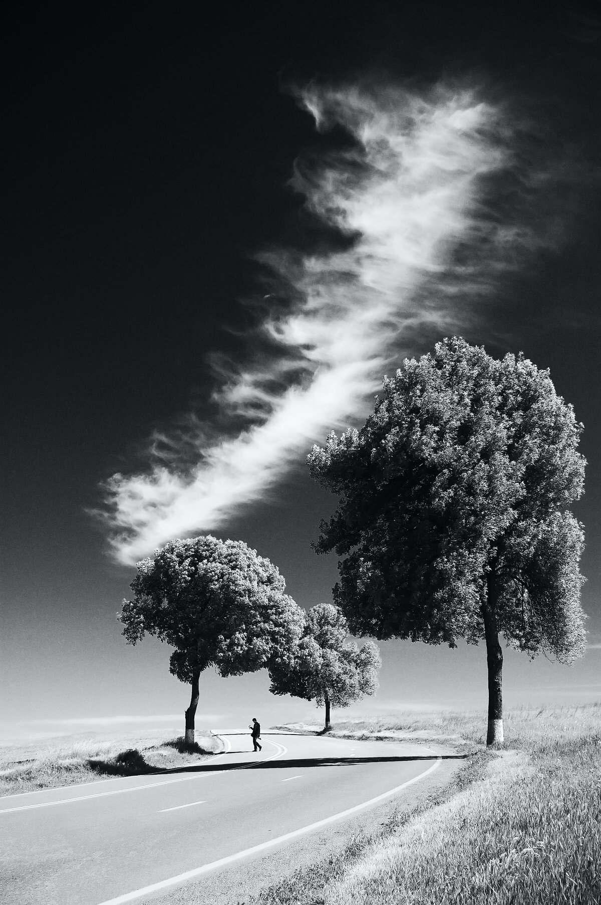 Wisp of Cloud Over a Country Road
