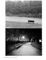 foggy bench and nighttime path landscape photography