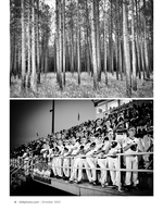 pine forest and lumberton pirates fans landscape photography