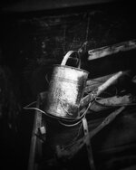 Old Watering Can
