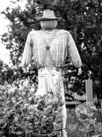 Scarecrow