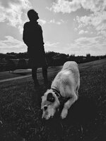 Man and Dog on the Hillside