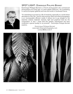 Leaf Textures & Agave Spikes