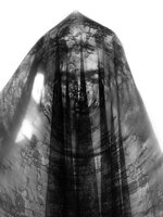 Portrait Behind the Veil