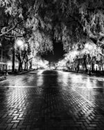 Frosted Trees on the Promenade