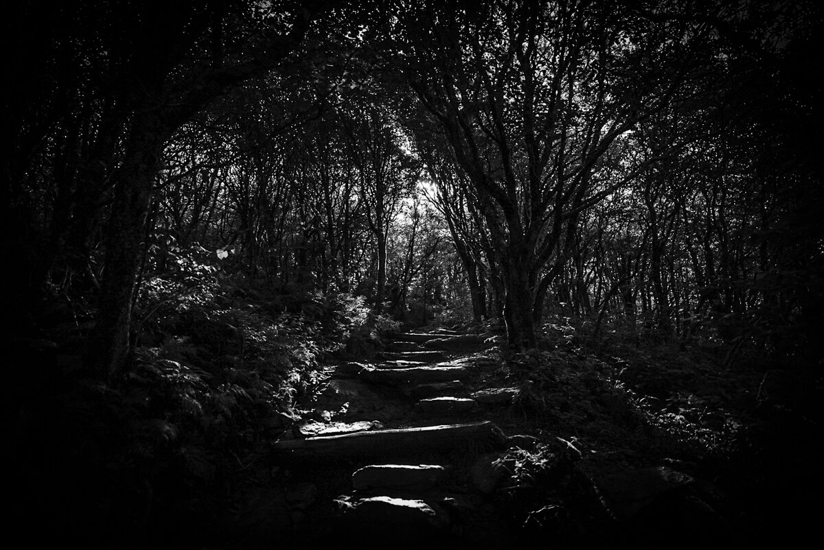 Craggy Pinnacle Trail