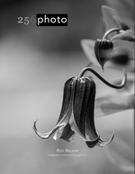 hanging seed pod flower photography