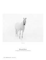 ghost wildlife photography