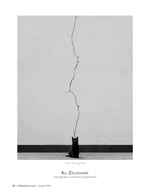 cat thoughts pet photography