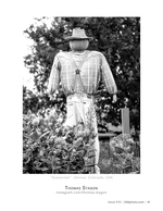 scarecrow still life photography