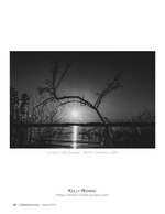 jordan lake sunset landscape photography