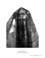 portrait behind the veil portrait photography