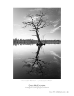 Reflected Solitude