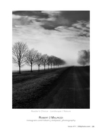 Foggy Country Lane