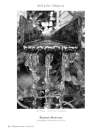 Fountain Spout Dripping