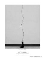 Black Cat and the Lightning Crack