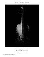 violin in shadow black and white photography