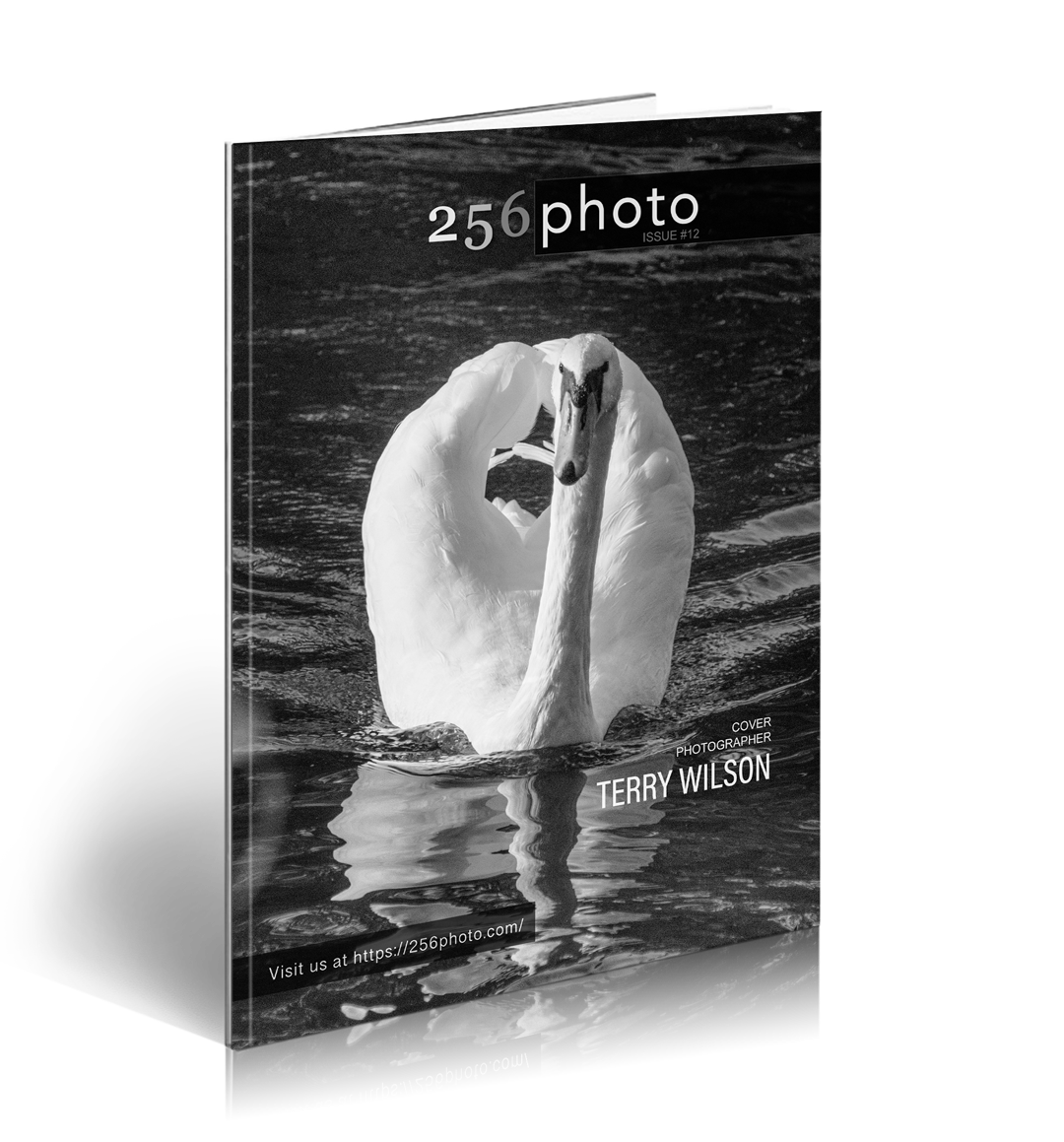 256photo magazine - Issue 12