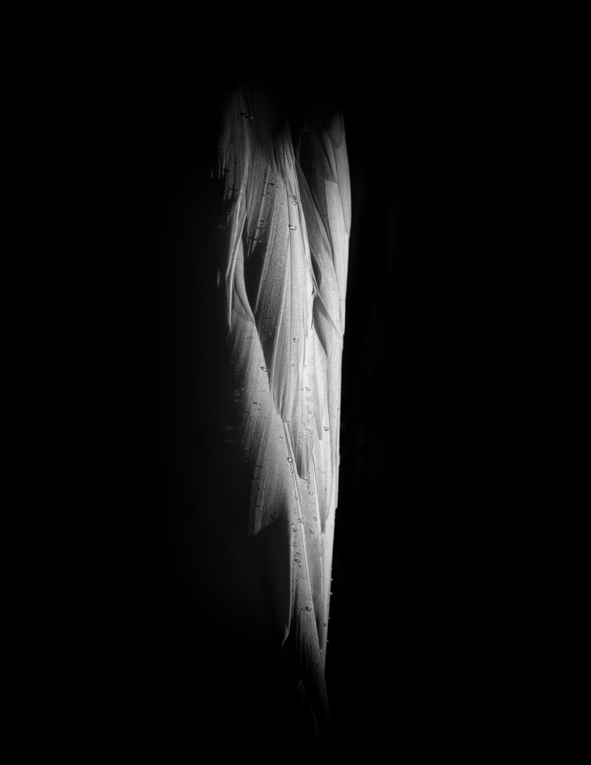 Light Is Better Than Darkness