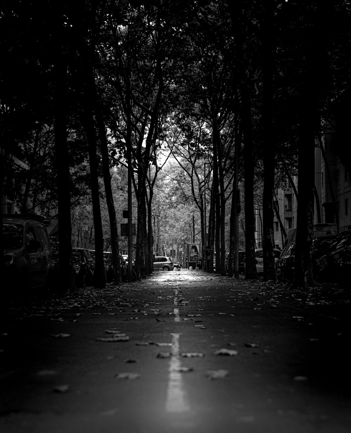 The Road Ahead