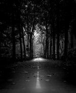 The Road Ahead