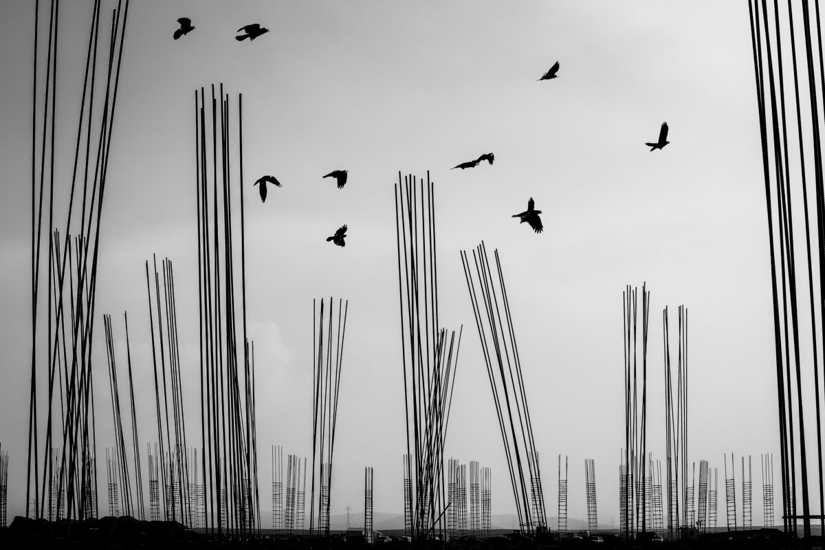 Crowded Sky