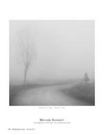 alone in fog landscape photography