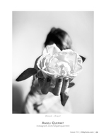 bloom flower photography