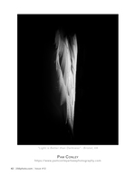 light is better than darkness still life photography