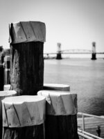 The Docks