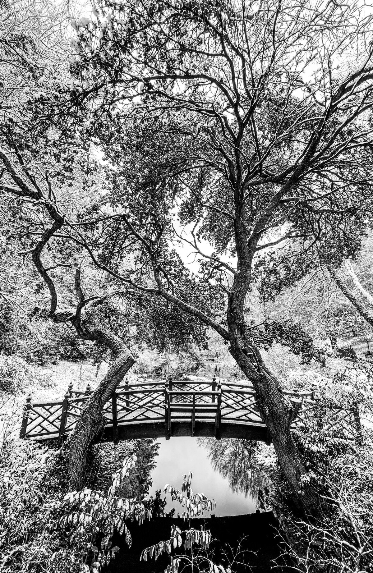 Bridge near the Governor's Palace