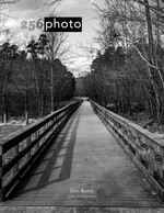 boardwalk path landscape photography