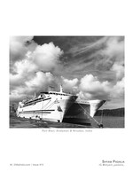 coral queen landscape photography