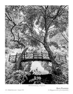 bridge near the governor's palace landscape photography