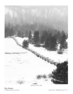 snowy fence line landscape photography